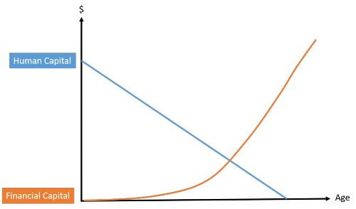 Human Capital Chart Over Time