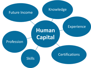 Your FitBUX Score incorporates your largest asset, your Human Capital. Human Capital is the level of your future income and the risk to that income.